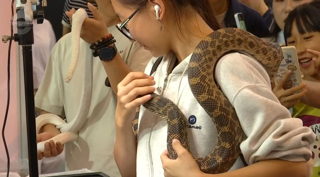 8099999街头巷尾微信