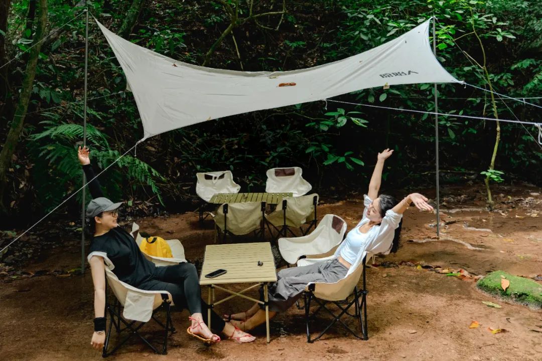 西双版纳望天树景区