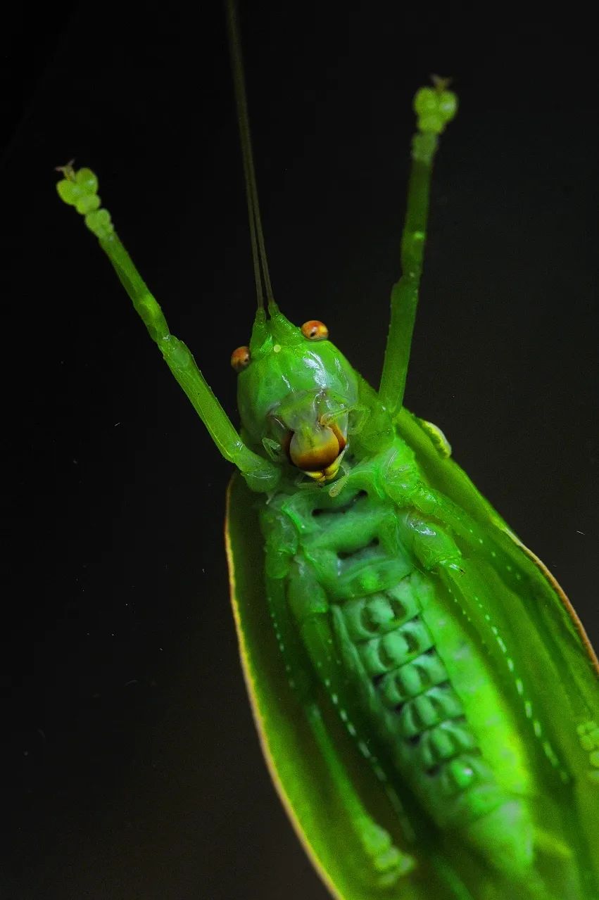 昆明市金殿名胜区