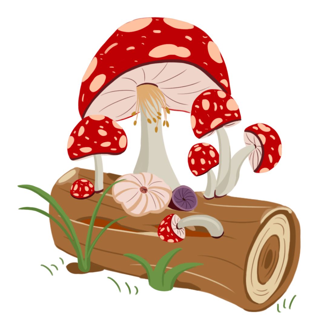 云南省第三人民医院