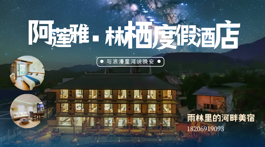 西双版纳望天树景区