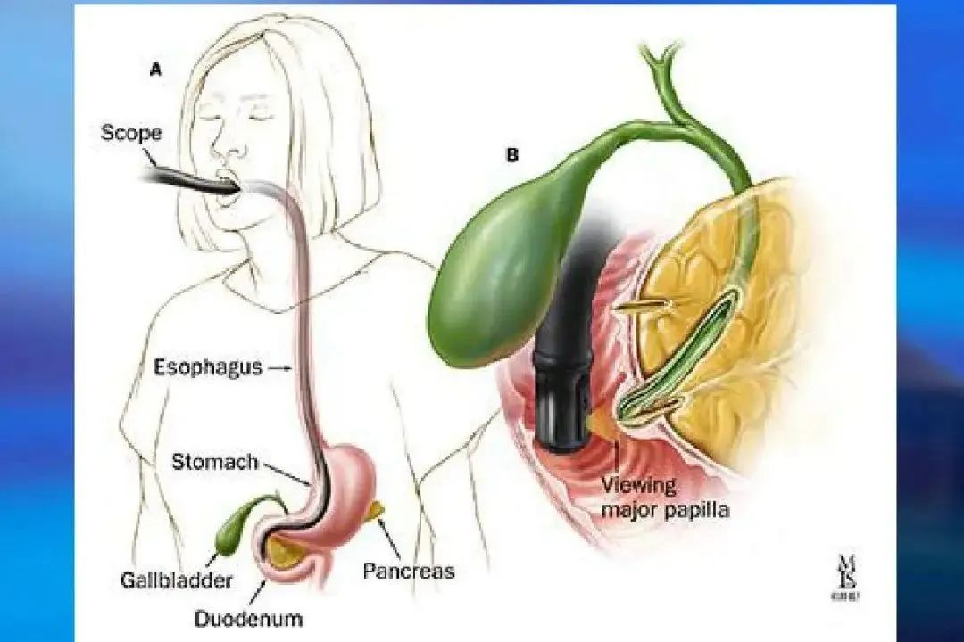 云南省第三人民医院