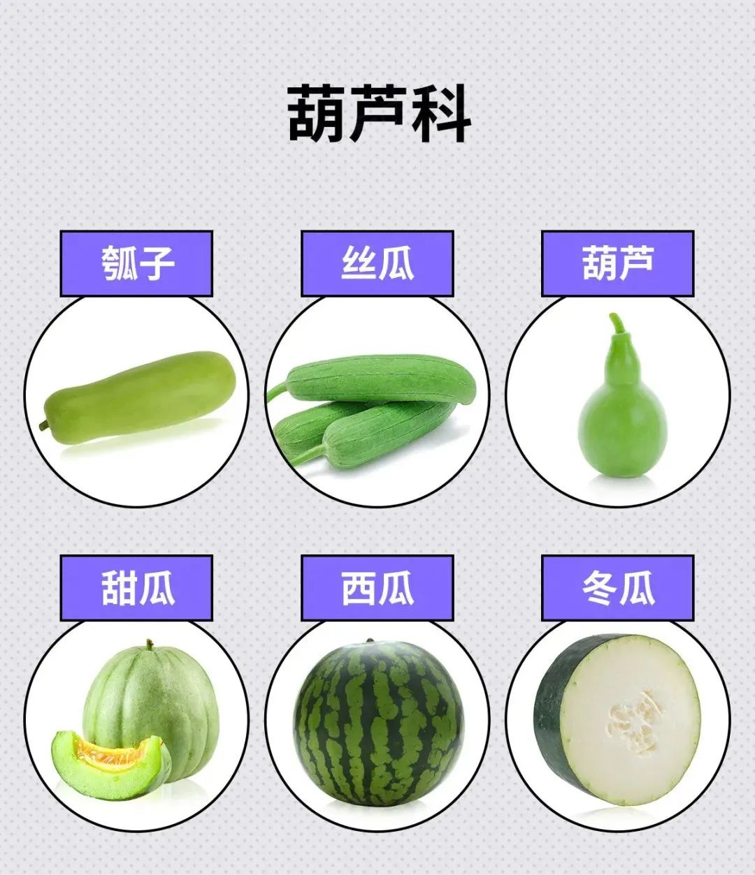 昆明阳宗海风景名胜区