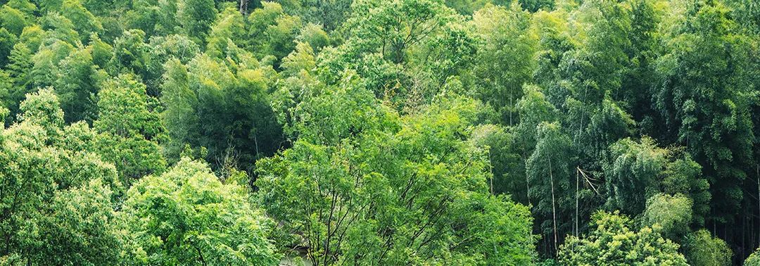 晋宁 诗意的栖居地