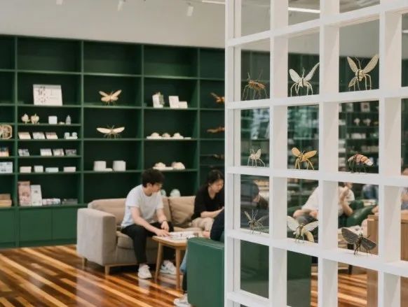 西双版纳望天树景区