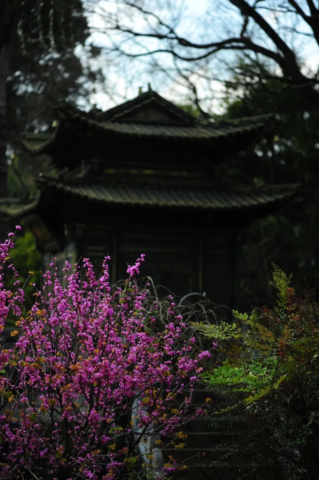 8099999街头巷尾微信