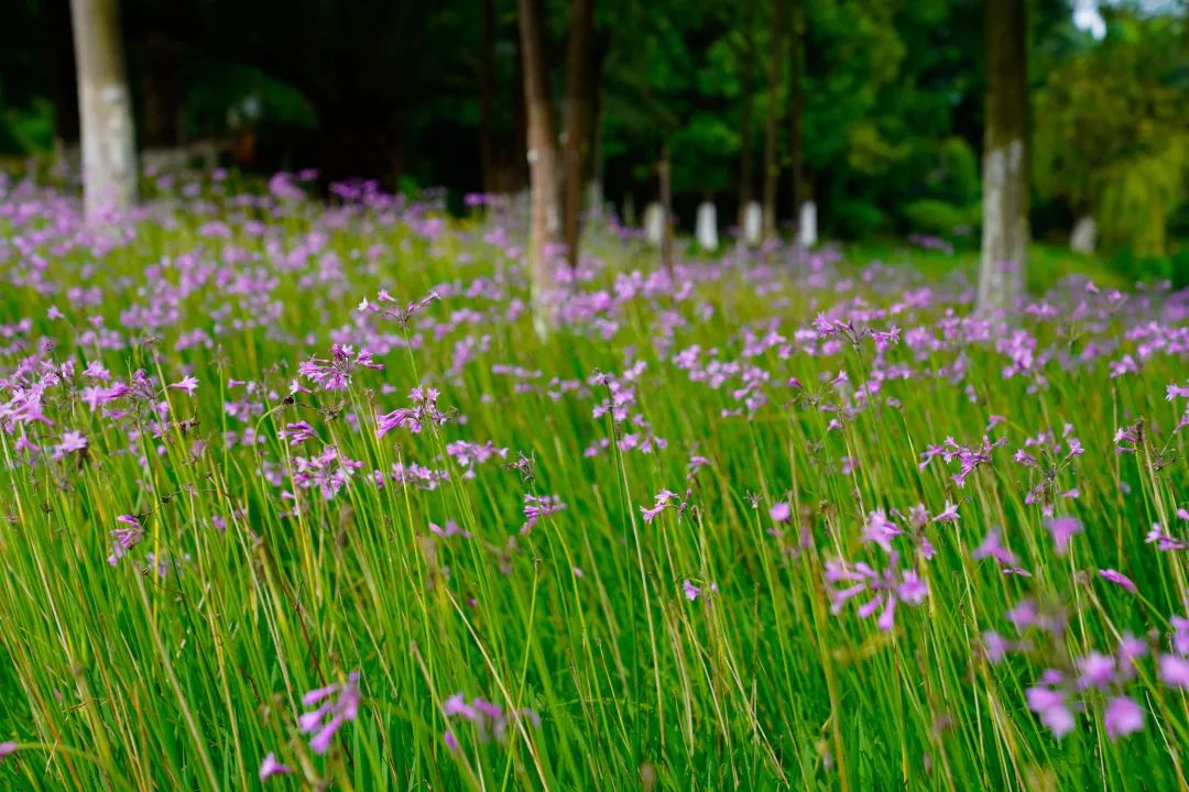 晋宁 诗意的栖居地