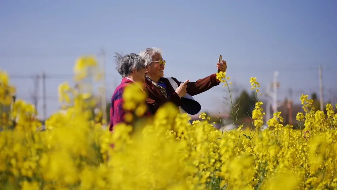 晋宁 诗意的栖居地