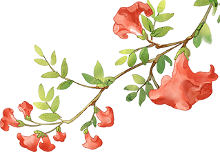 云南省中医医院