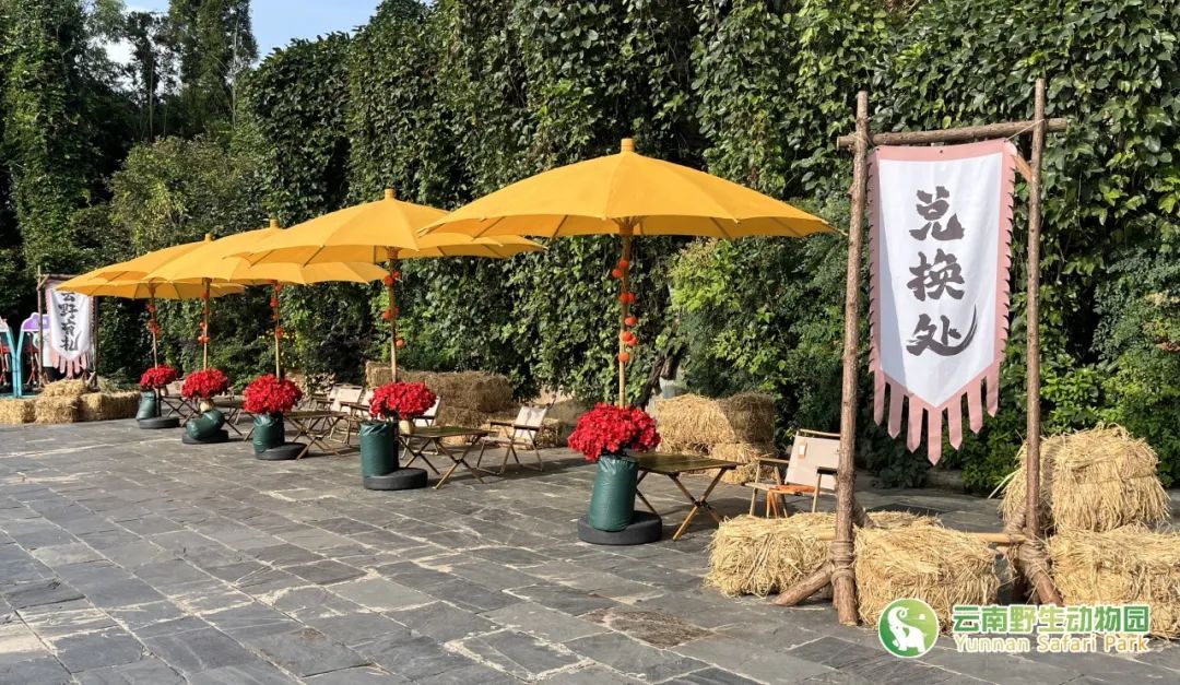 云南野生动物园