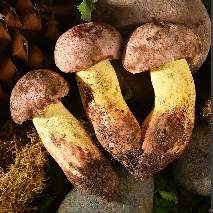 昆明市中医医院