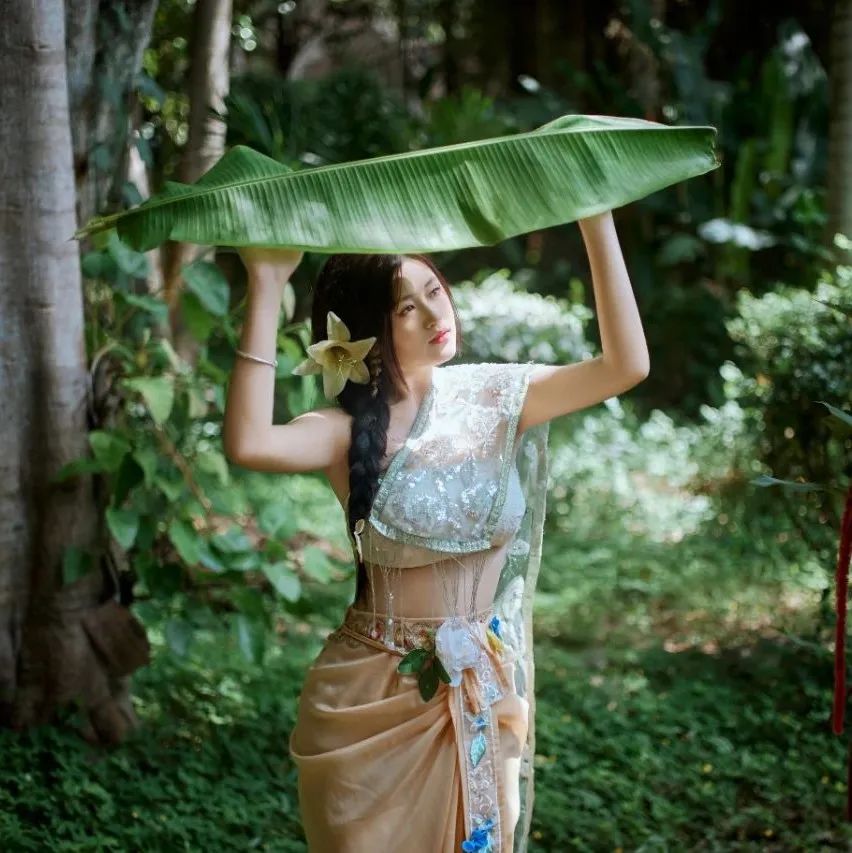 西双版纳望天树景区