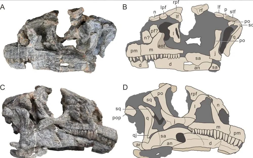 美丽云南微科普