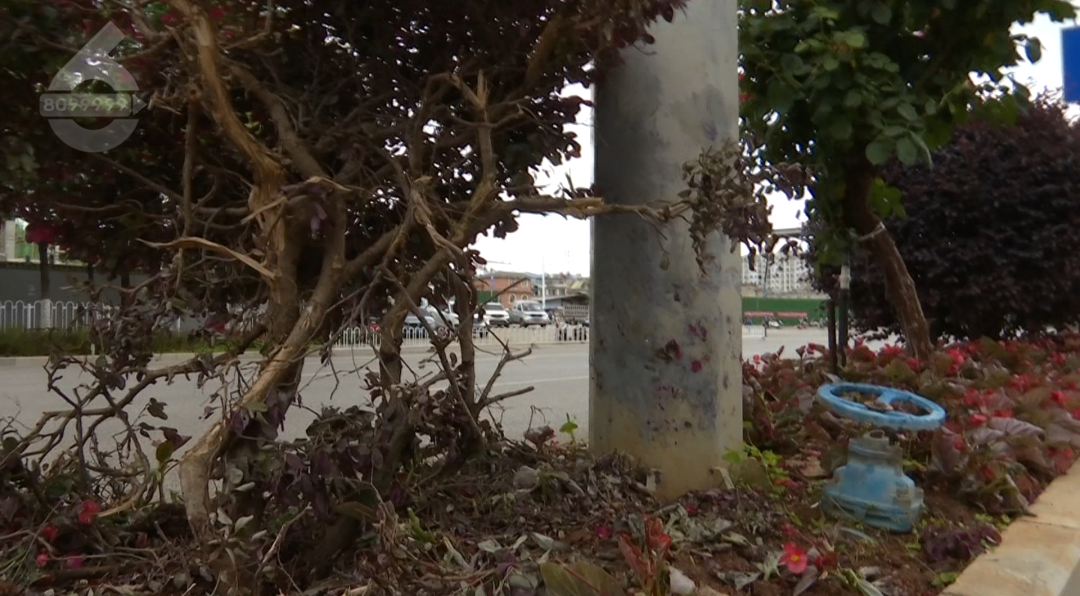 8099999街头巷尾微信