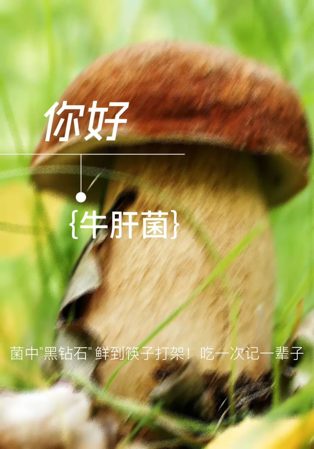 昆明市中医医院