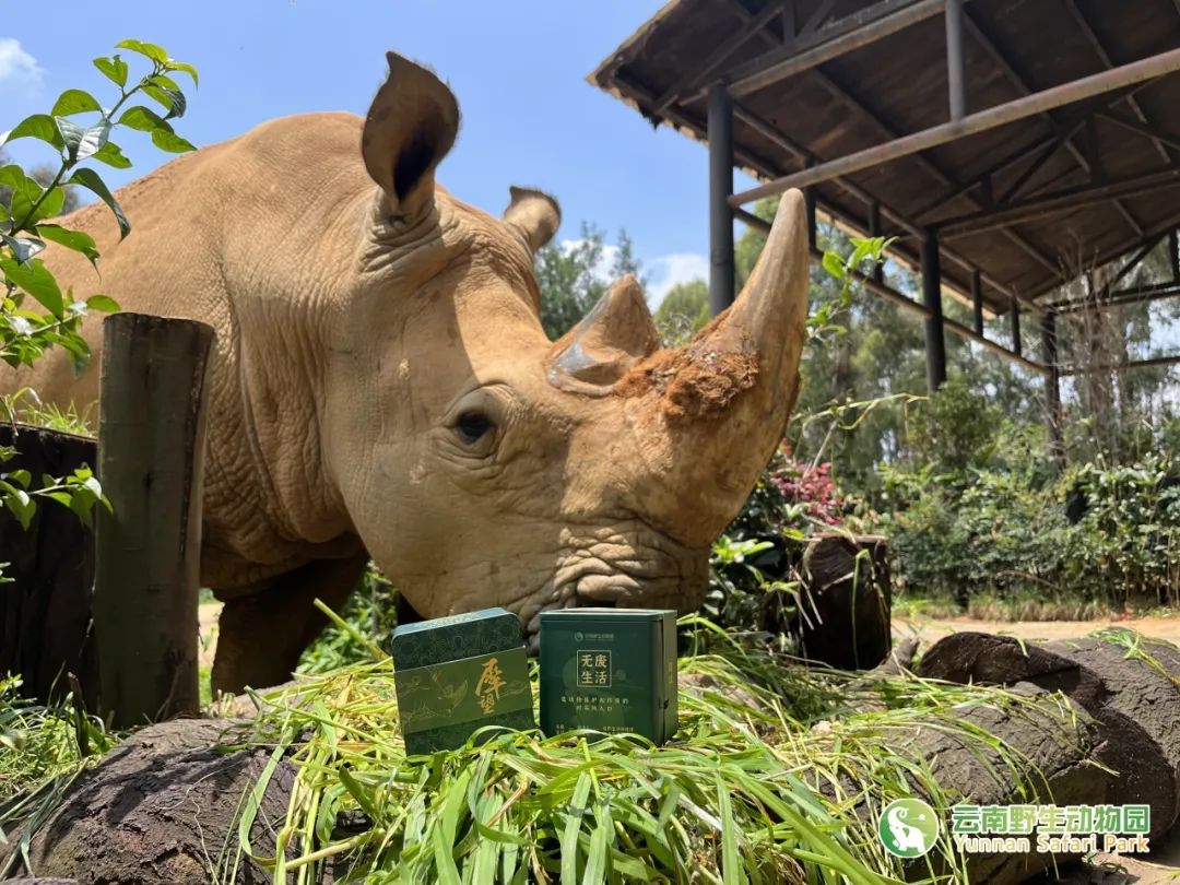 云南野生动物园