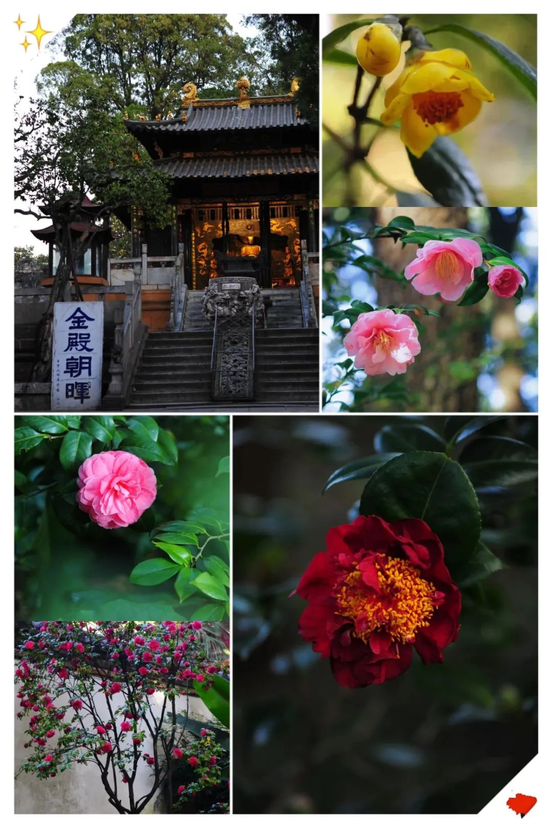 8099999街头巷尾微信