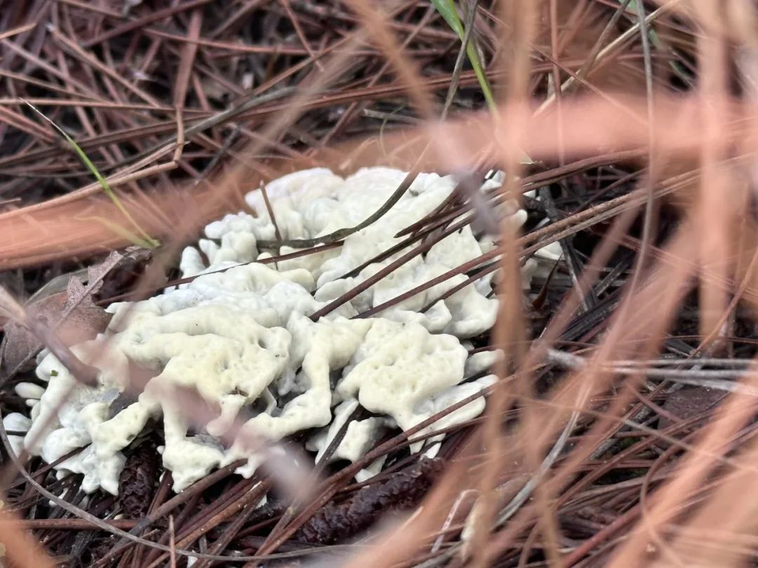 晋宁 诗意的栖居地
