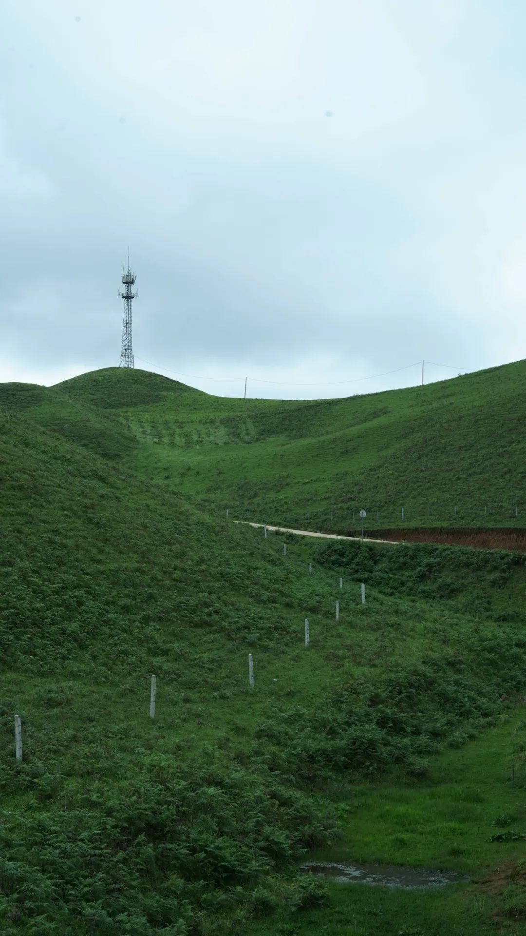 街头巷尾