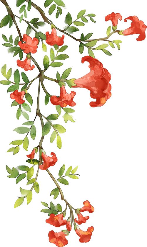 云南省中医医院