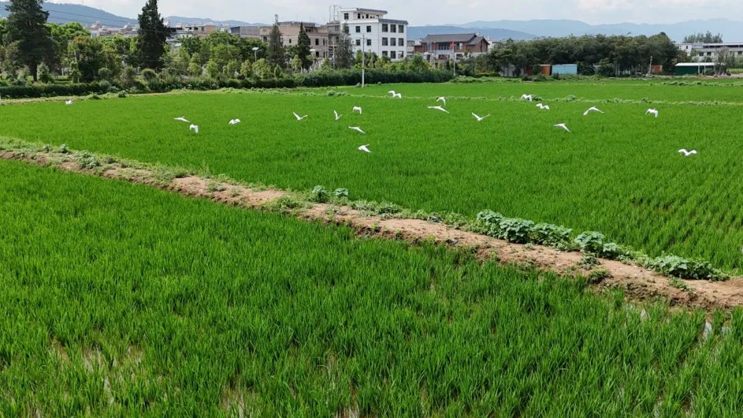 昆明阳宗海风景名胜区