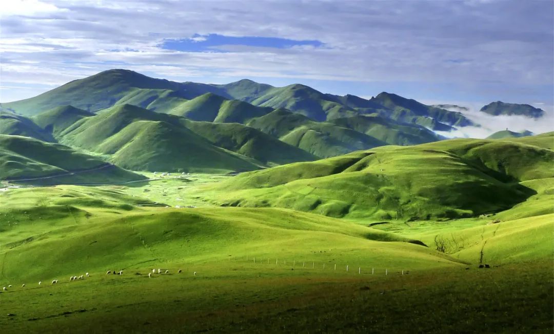 云南省人民政府