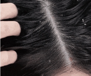 云南广播电视台