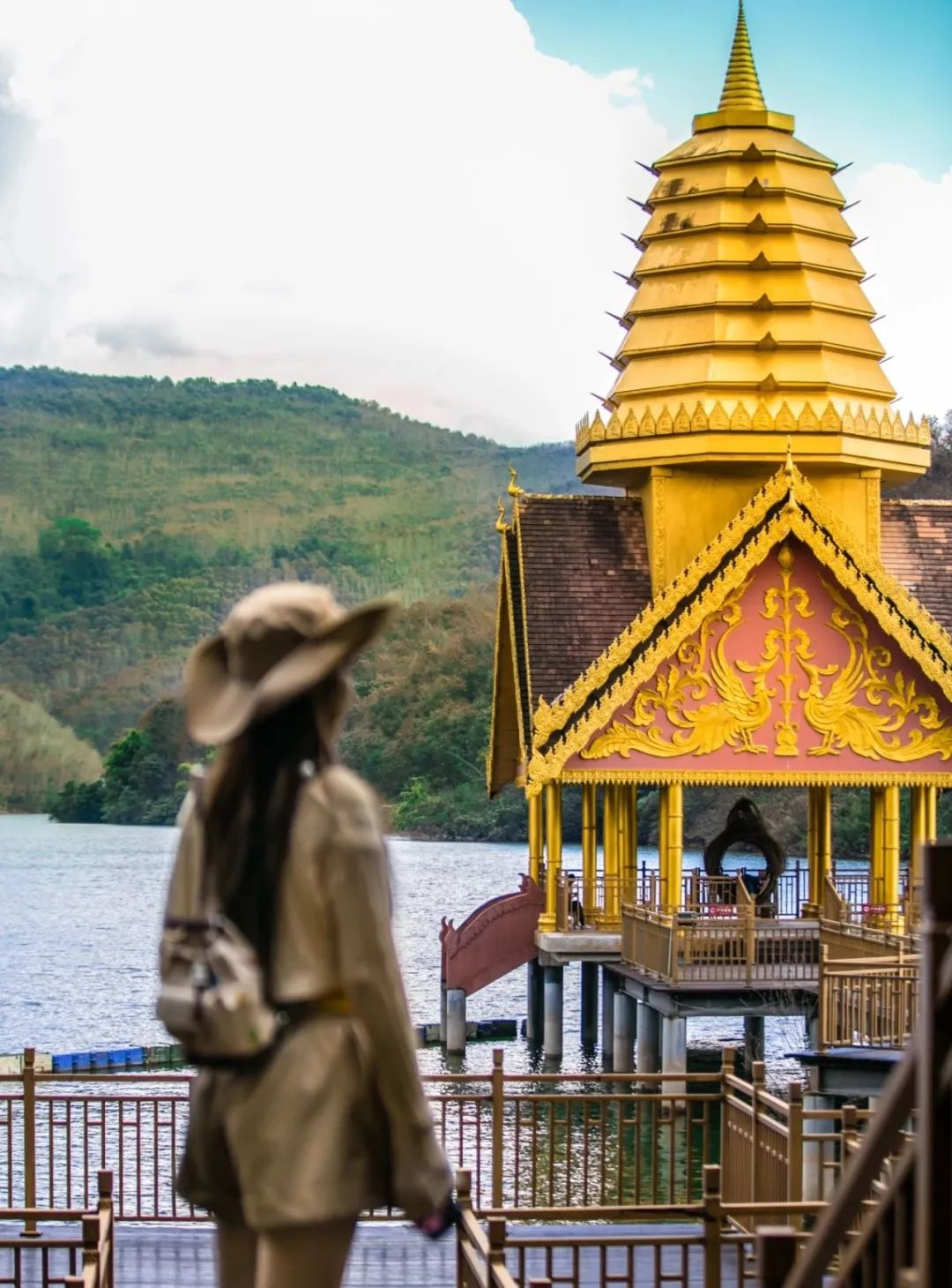 西双版纳望天树景区