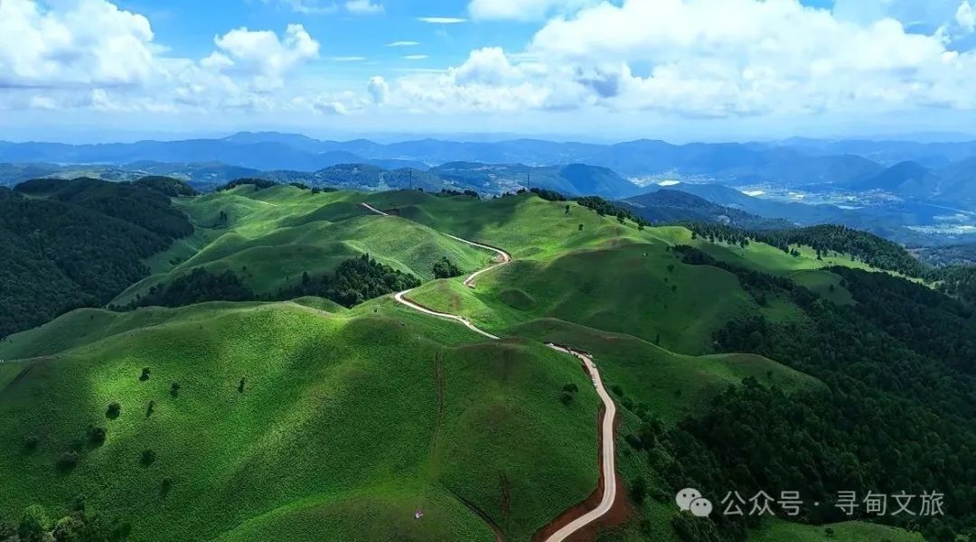 街头巷尾
