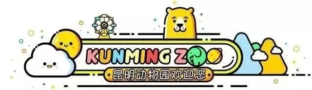 昆明动物园