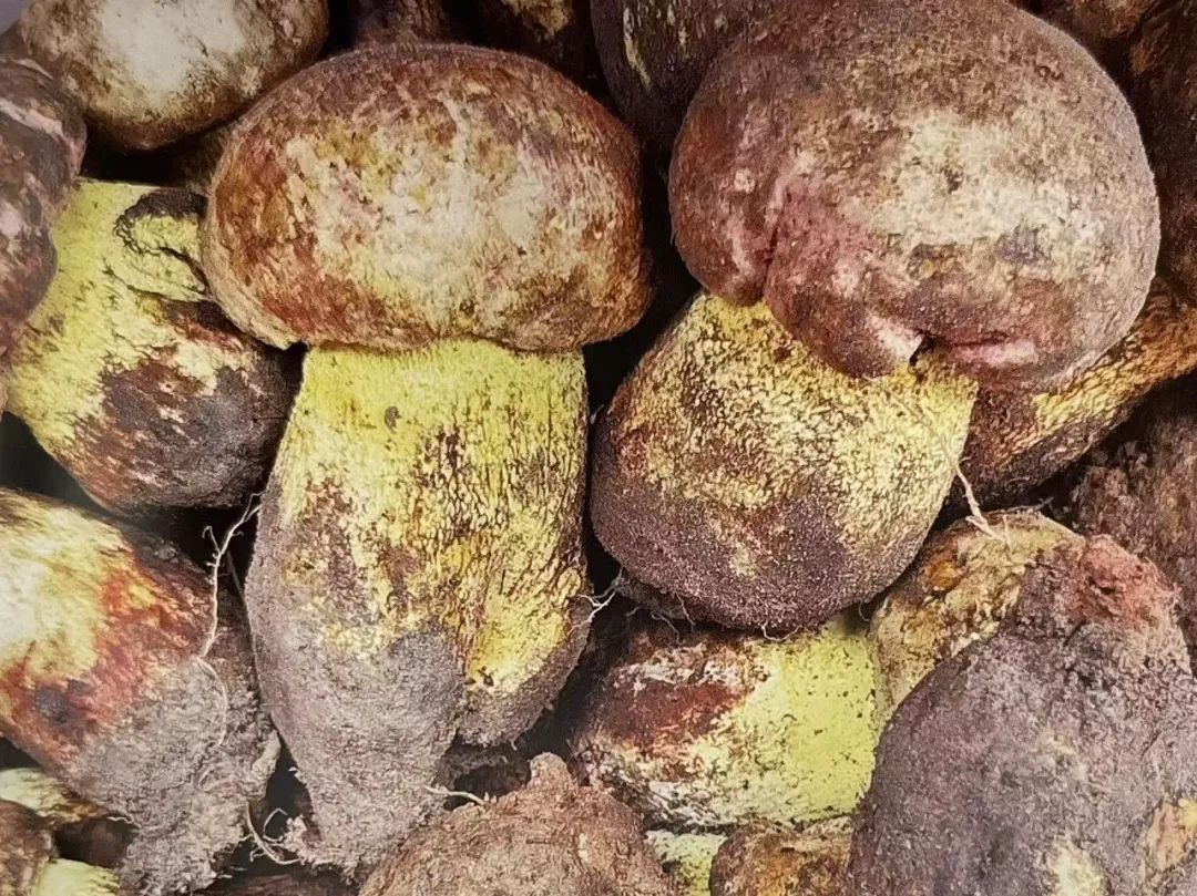 云南省第三人民医院