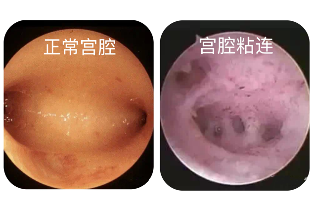 昆明市妇幼保健院