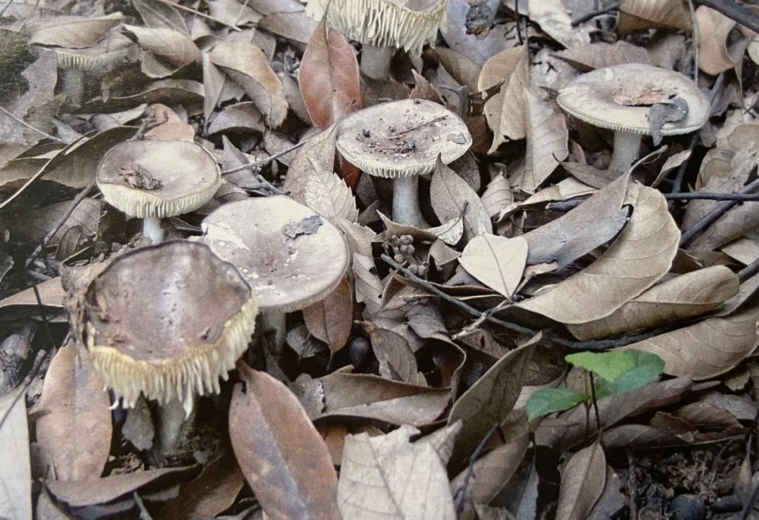 云南省第三人民医院