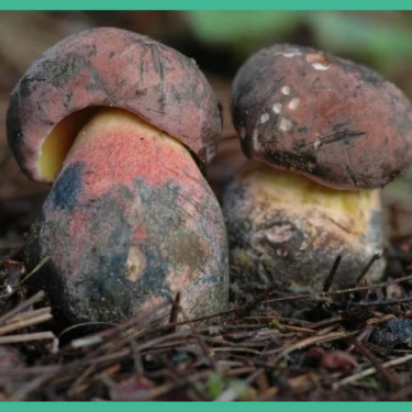 云南省第三人民医院