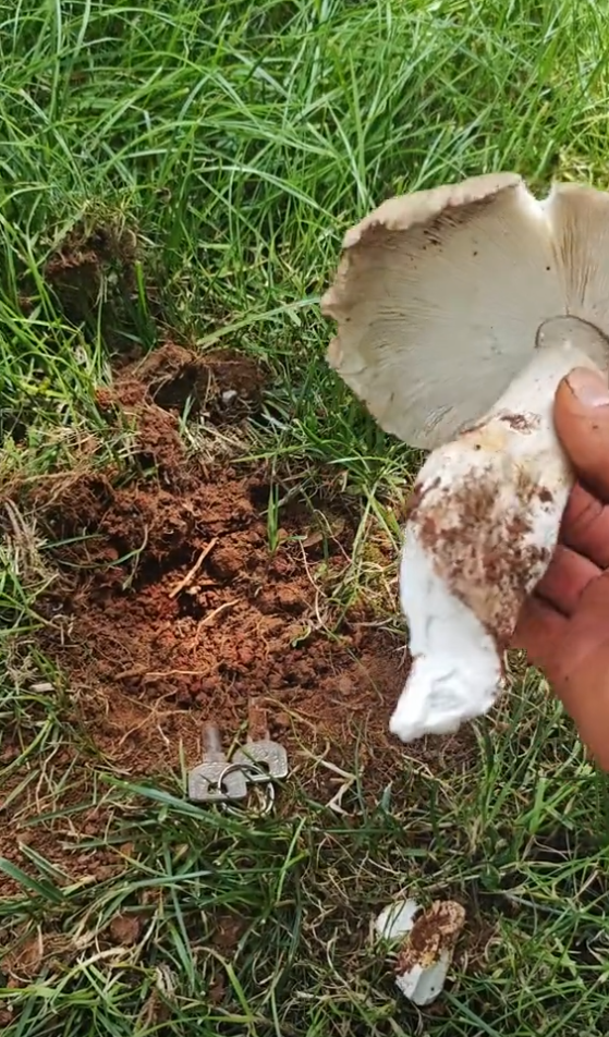 8099999街头巷尾微信