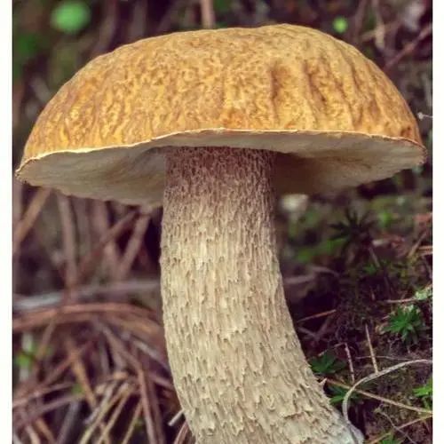 云南省第三人民医院