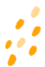 云南省中医医院