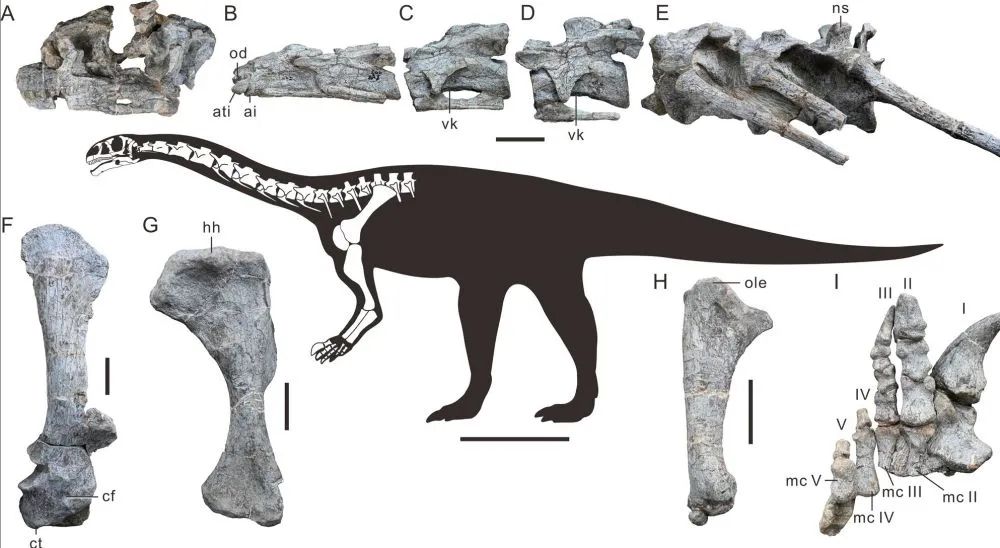 美丽云南微科普