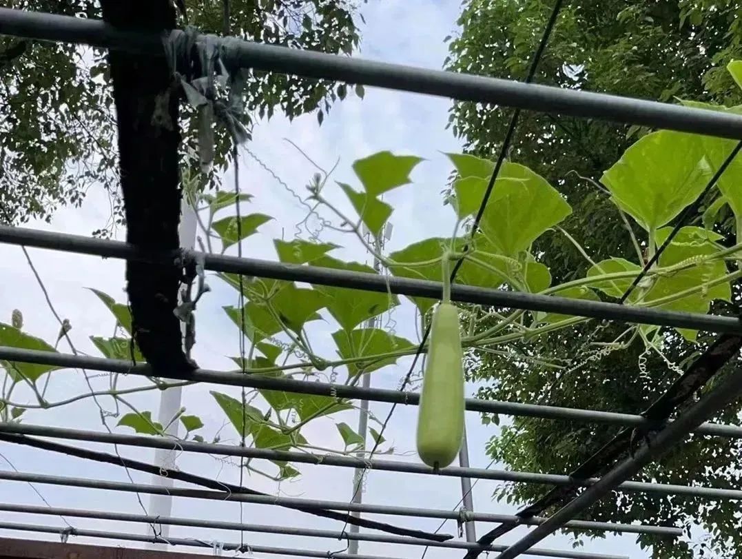 昆明阳宗海风景名胜区