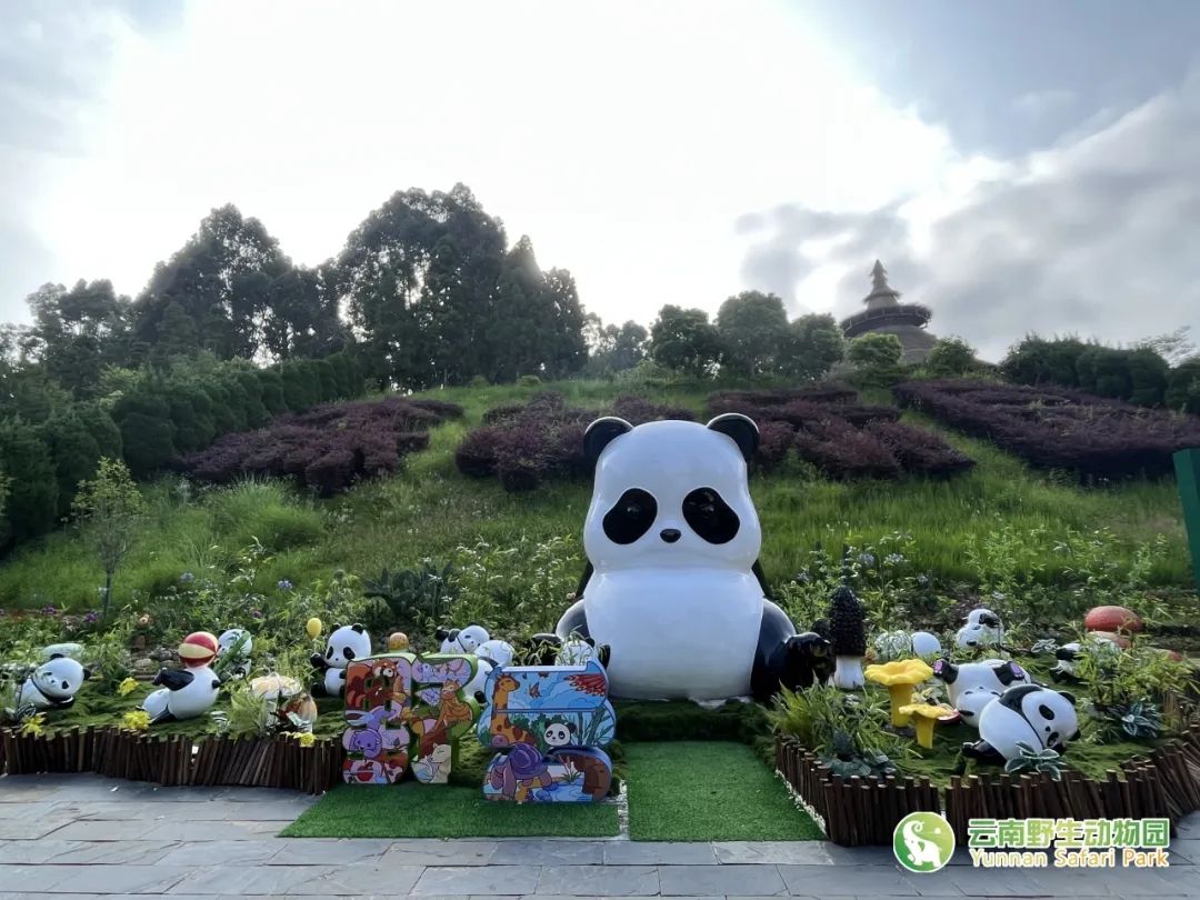 云南野生动物园