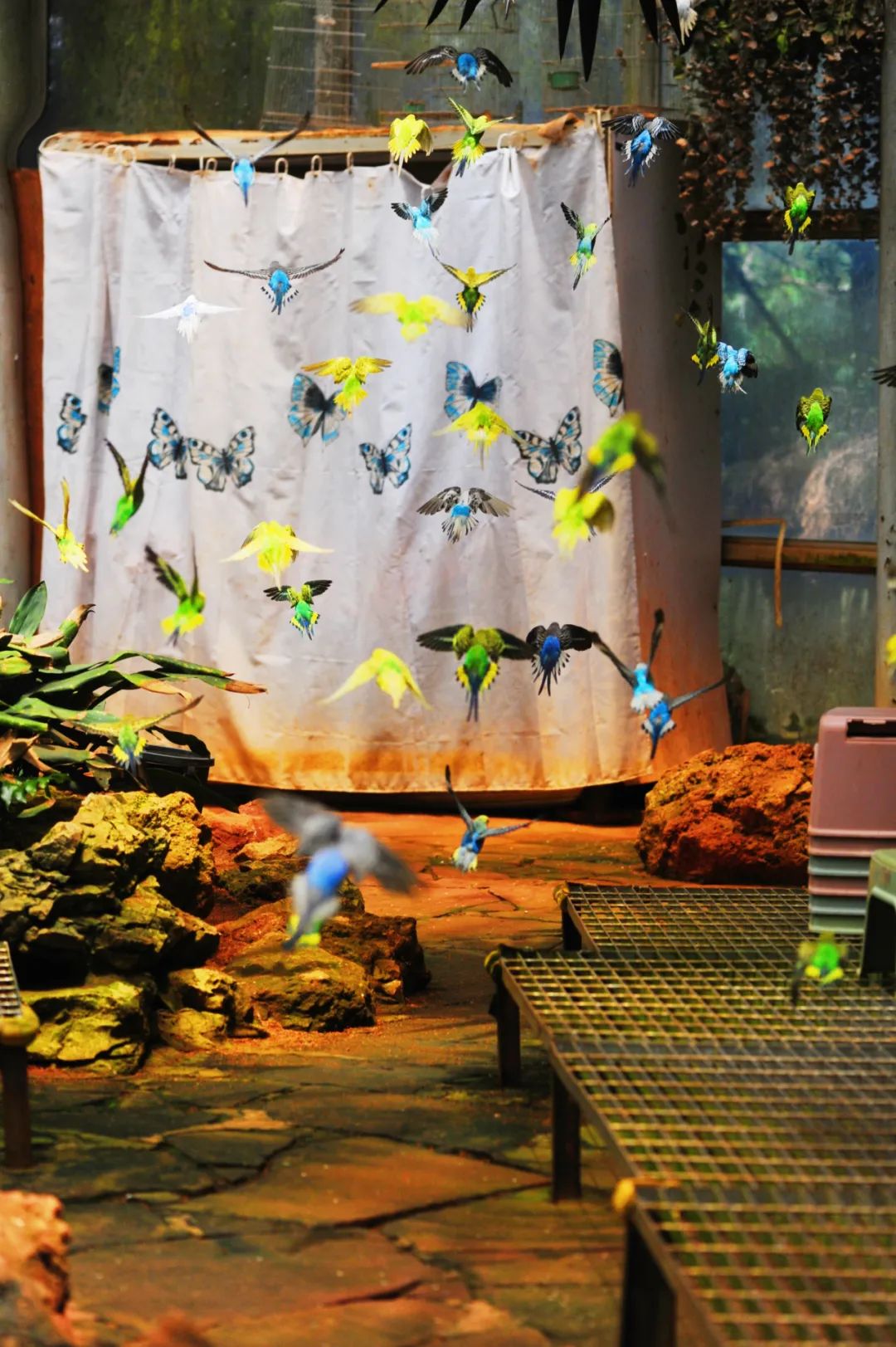 昆明市金殿名胜区