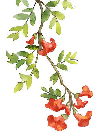 云南省中医医院