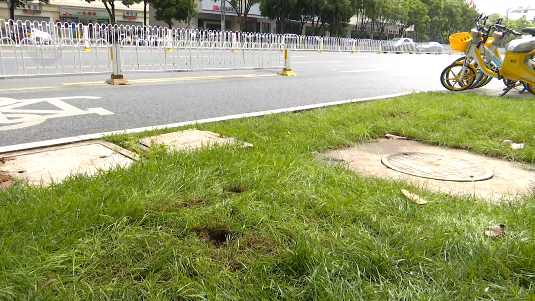 8099999街头巷尾微信