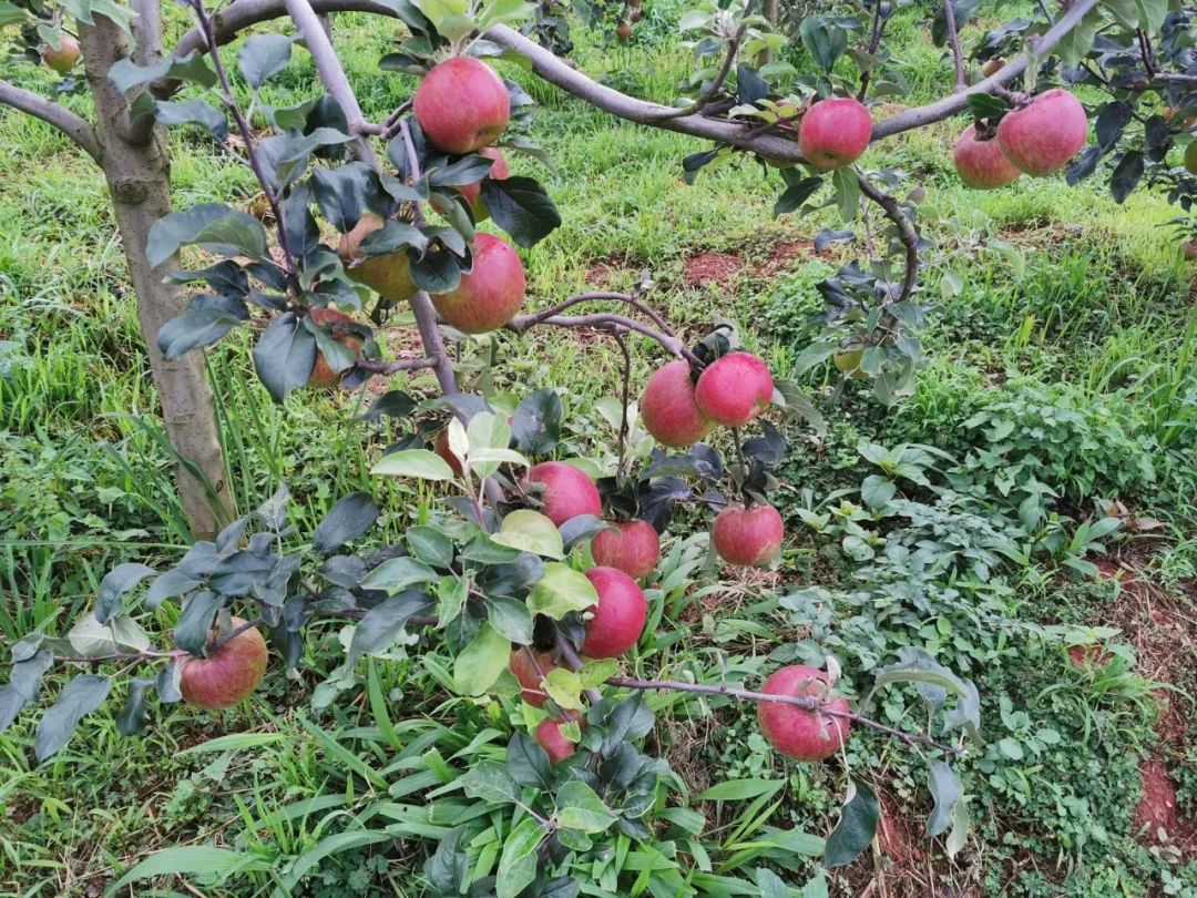 晋宁 诗意的栖居地