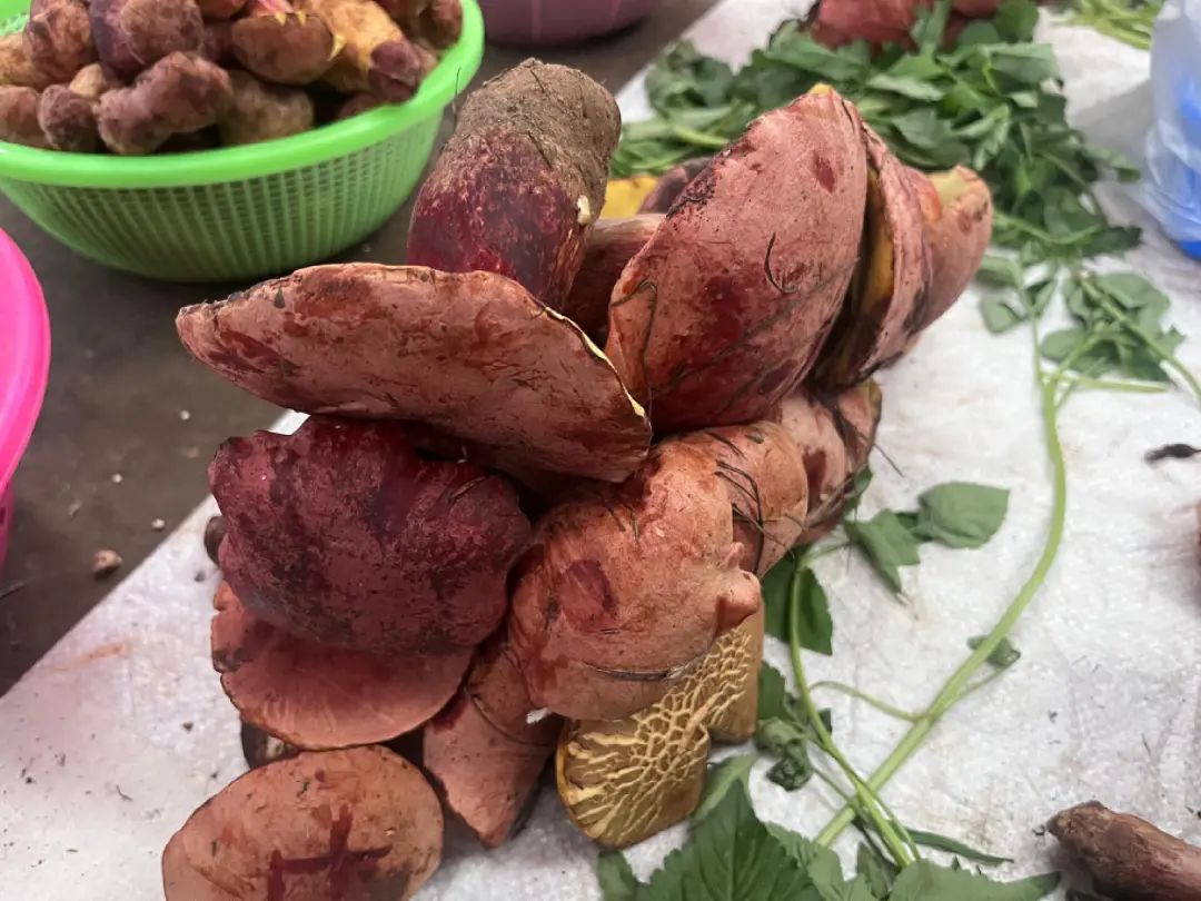 FM954汽车音乐广播