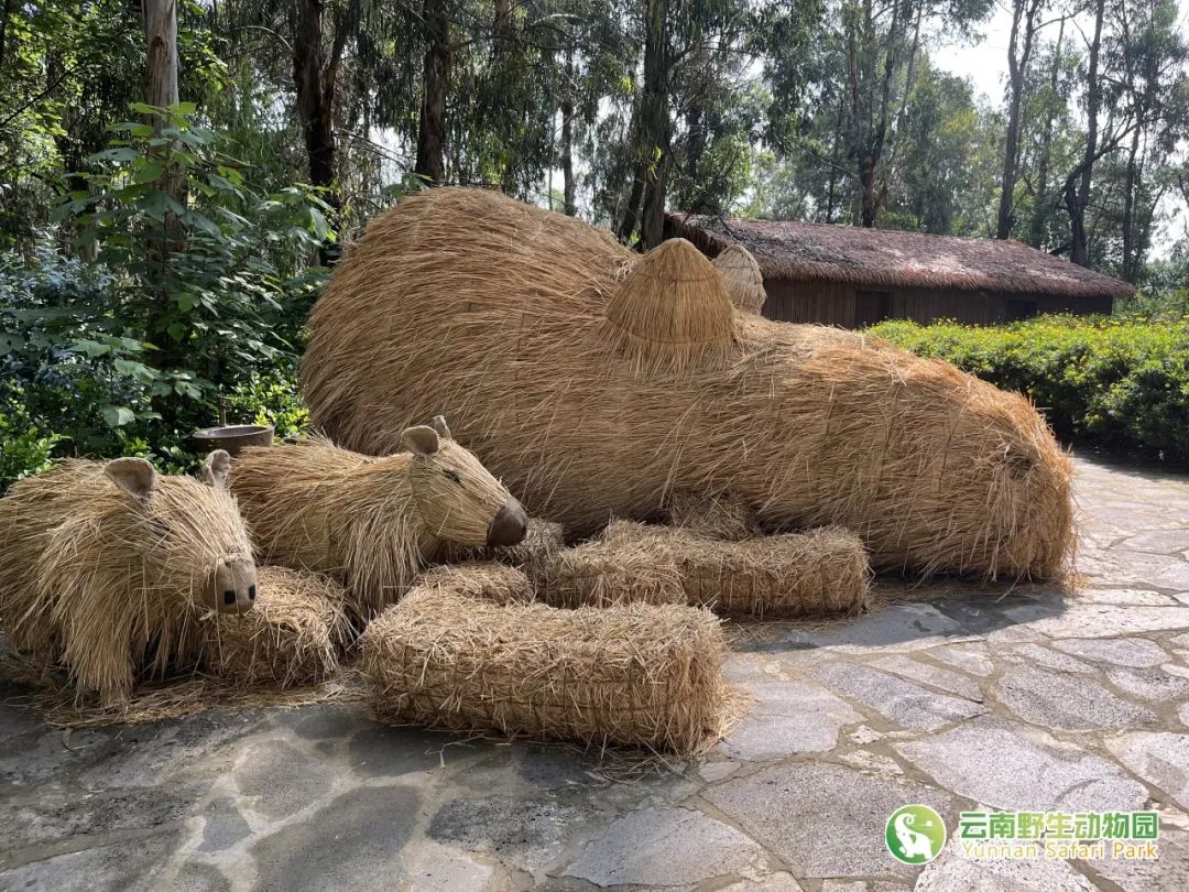 云南野生动物园