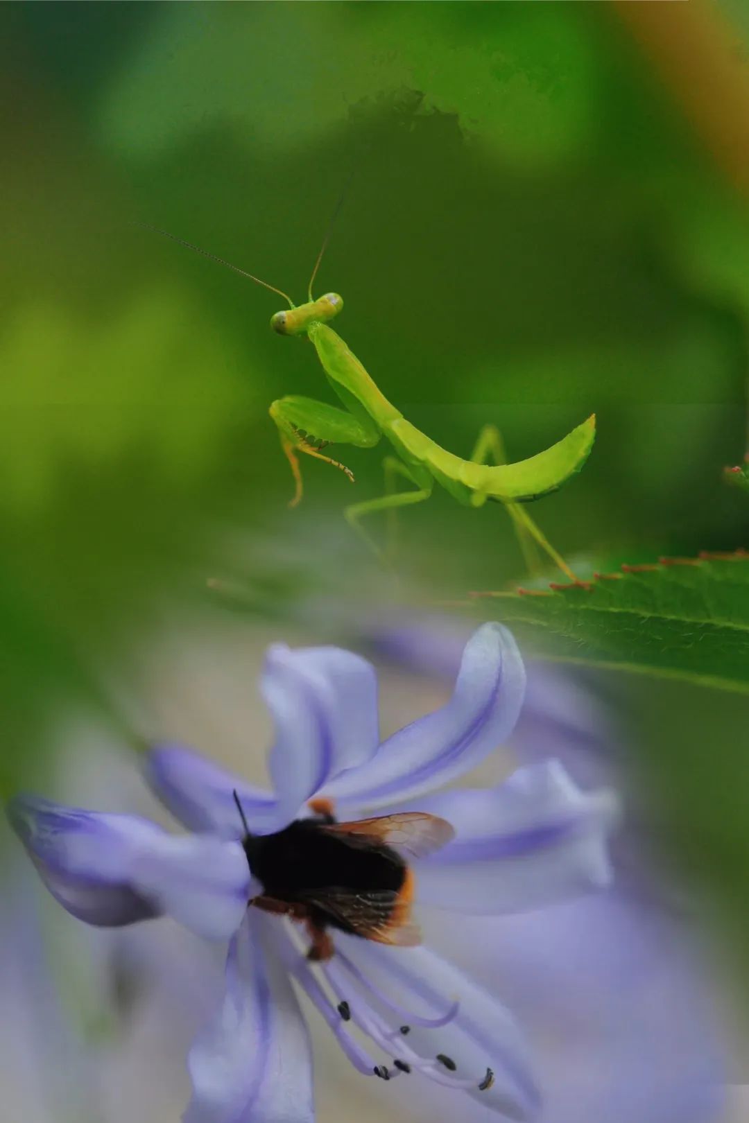 昆明市金殿名胜区