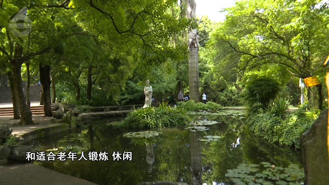 8099999街头巷尾微信