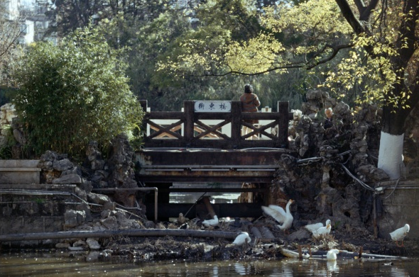 8099999街头巷尾微信