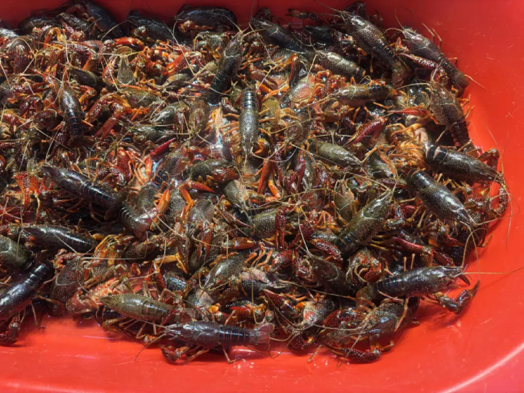 昆明广播电视台